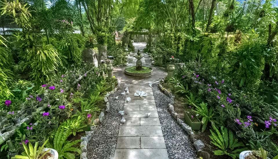 هتل تاورن پالم بیچ پوکت